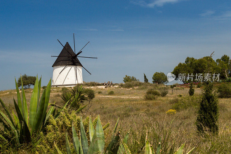 西班牙的自然公园de Cabo de Gata - Nijar(自然保护区)